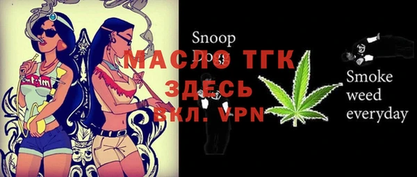 хмурый Аркадак