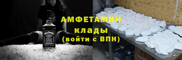 хмурый Аркадак