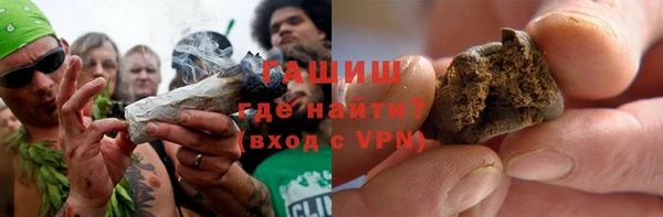 хмурый Аркадак