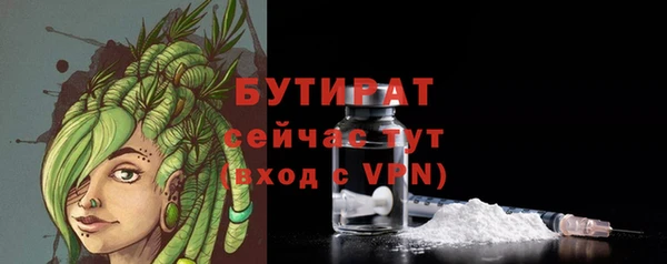 хмурый Аркадак