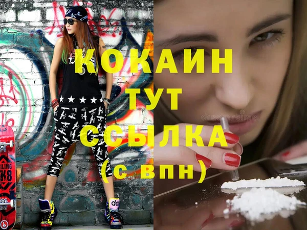хмурый Аркадак