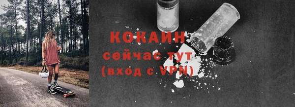 соль ск Арсеньев