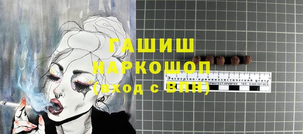 хмурый Аркадак