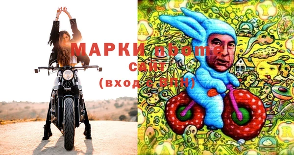 хмурый Аркадак
