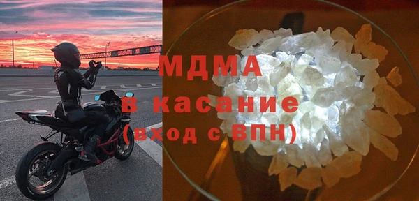 хмурый Аркадак