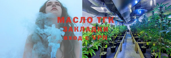 хмурый Аркадак