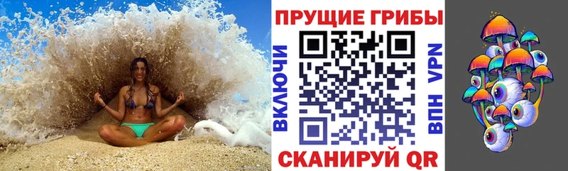 kraken вход  Полярные Зори  Галлюциногенные грибы мицелий 